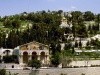 Mount of Olives